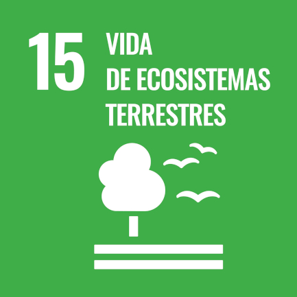 agenda 2030 vida de ecosistemas terrestres